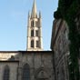 L'église Saint-Michel-des-Lions est une des principales églises de Limoges. Elle doit son nom aux deux lions gallo-romains de pierre qui gardent son entrée. C'est une église de style gothique, construite entre les XIVe et XVIe siècles. Elle possède un typique clocher limousin (comme la cathédrale St-Étienne) surmonté d'une curieuse boule métallique. L'église conserve les reliques de saint Martial autour desquelles existe toujours un culte pris en charge par la Grande confrérie de saint Martial et la confrérie des Porteurs de la Châsse. Elle possède aussi les reliques de saint Loup et de sainte Valérie auxquels sont dédiés deux confréries. Ces reliques sont conservées dans un retable construit au XIXe siècle qui célèbre la vie et les miracles de saint Martial. L'église possède aussi un riche mobilier : Deux pietàs du XVe siècle, deux vitraux du XVe siècle représentant les vies de saint Jean-Baptiste et de la Vierge Marie, une statue de sainte Valérie du XVe siècle.  