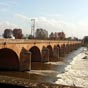 Nevers : Un pont est mentionné dès 1227 : trois ouvrages imparfaitement alignés et souvent emportés par les eaux de la Loire. Le Grand Pont traversait le bras navigable, côté ville, jusqu'à 
