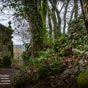 Soutomerille:C'est ici que se trouve l'un des lieuxles plus symboliquedes Chemins de Saint-Jacques en Galice: une petite chapelle avec une jalousie préromane dont l'origine remonte aux premiers siècles du pèlerinage.