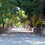 Arles : belle et émouvante promenade dans l'allée des Alyscamps, bordée d'arbres et de tombeaux. Les Alyscamps signifient Champs Élysées en provençal, cité des morts vertueux dans la mythologie grecque. 